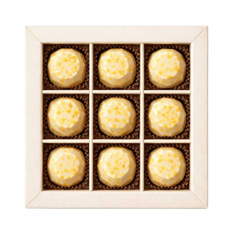 9er Premium-Pralinen-Box Mango-Maracuja Eierpunsch – edle Geschenkbox mit 9 handgemachten alkoholischen Pralinen mit tropischem Mango-Maracuja-Geschmack aus Dresden